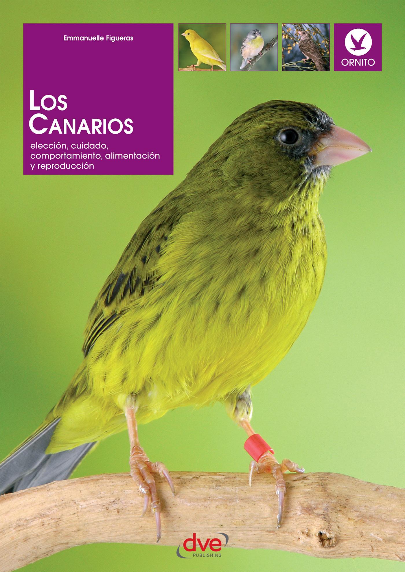 LOS CANARIOS. ELECCIÓN, CUIDADO, COMPORTAMIENTO, ALIMENTACIÓN Y REPRODUCCIÓN