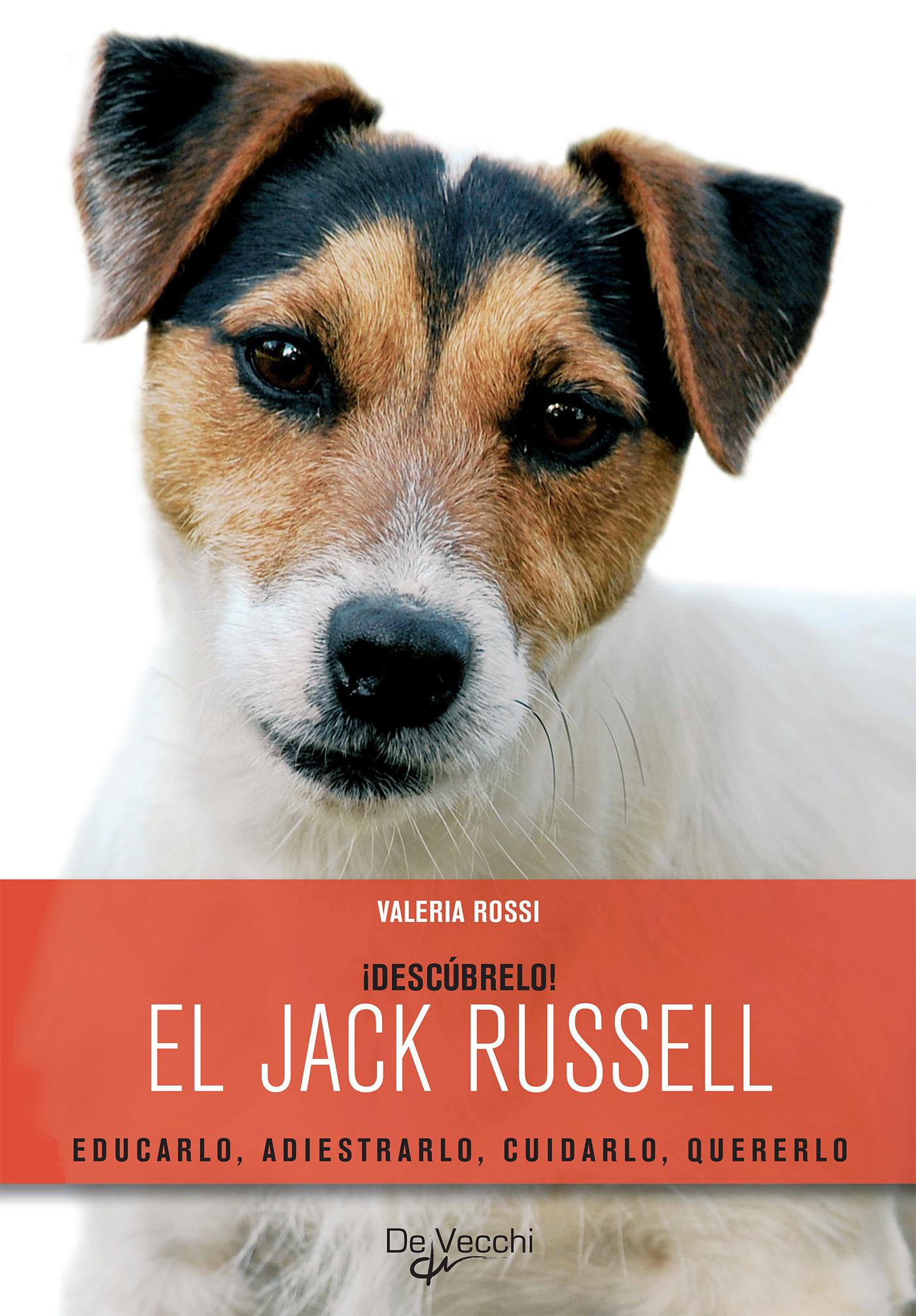 ¡DESCÚBRELO! EL JACK RUSSELL. EDUCARLO, ADIESTRARLO, CUIDARLO, QUERERLO