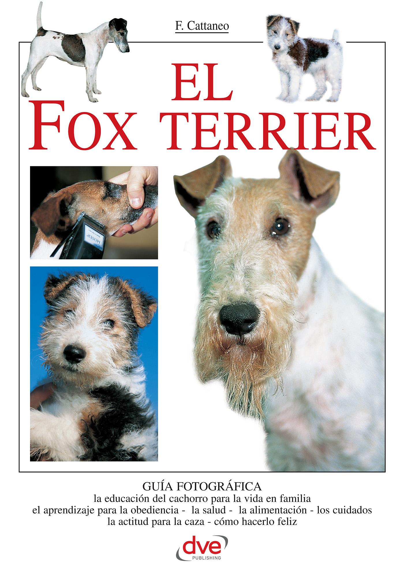 EL FOX TERRIER