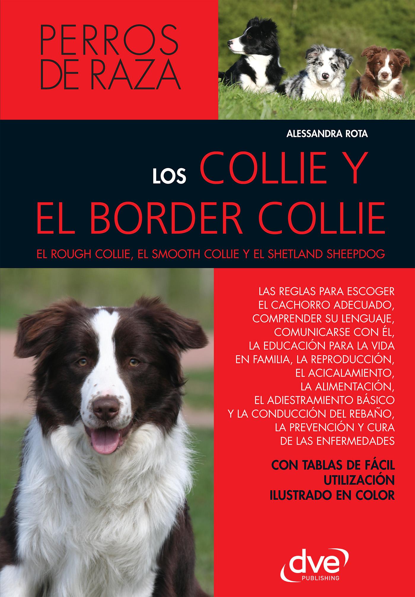 LOS COLLIE Y EL BORDER COLLIE
