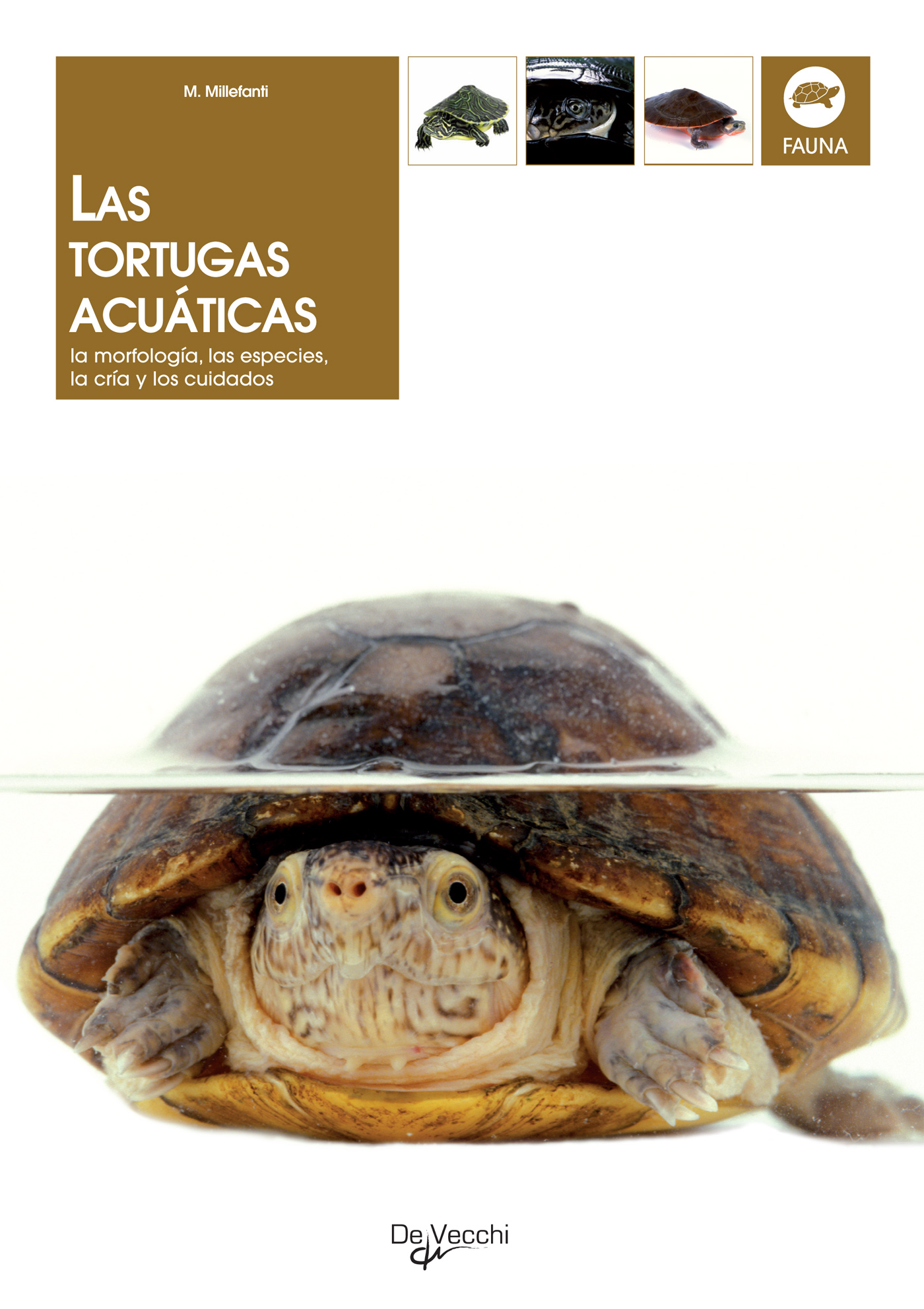 LAS TORTUGAS ACUÁTICAS