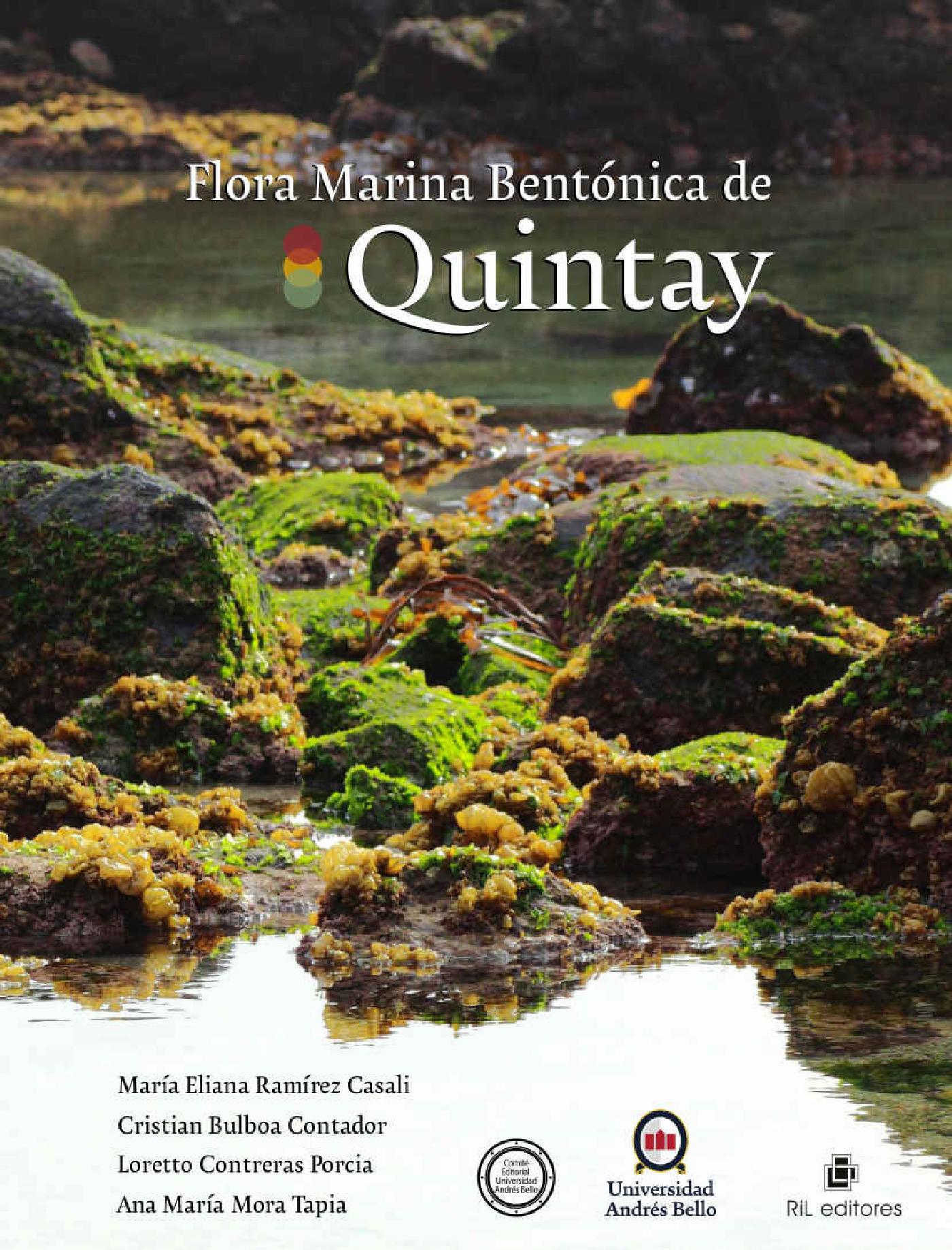 FLORA MARINA BENTÓNICA DE QUINTAY