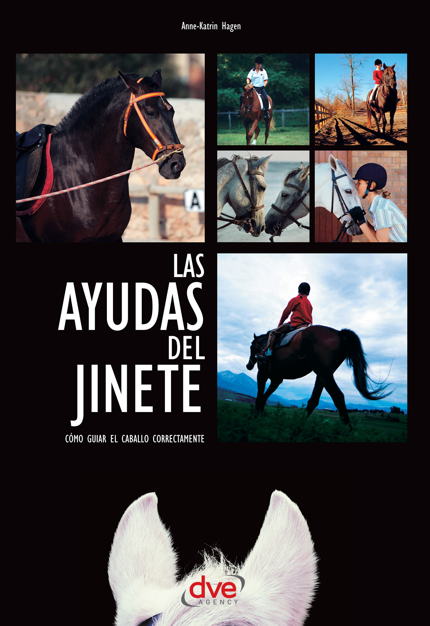 LAS AYUDAS DEL JINETE. CÓMO GUIAR EL CABALLO CORRECTAMENTE