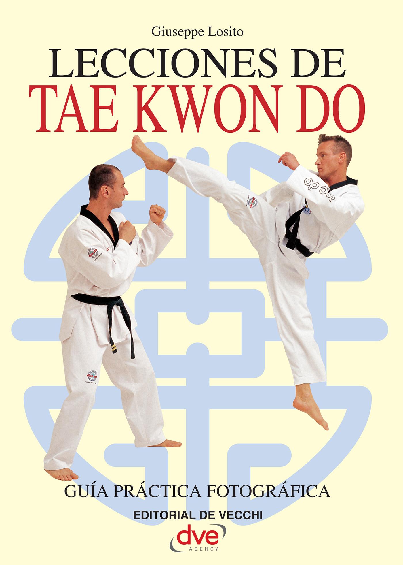 LECCIONES DE TAE KWON DO