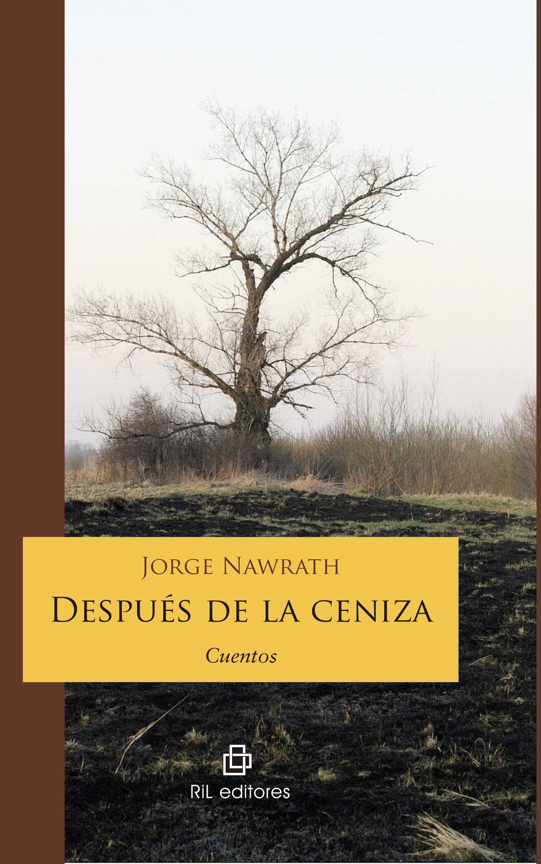 DESPUÉS DE LA CENIZA