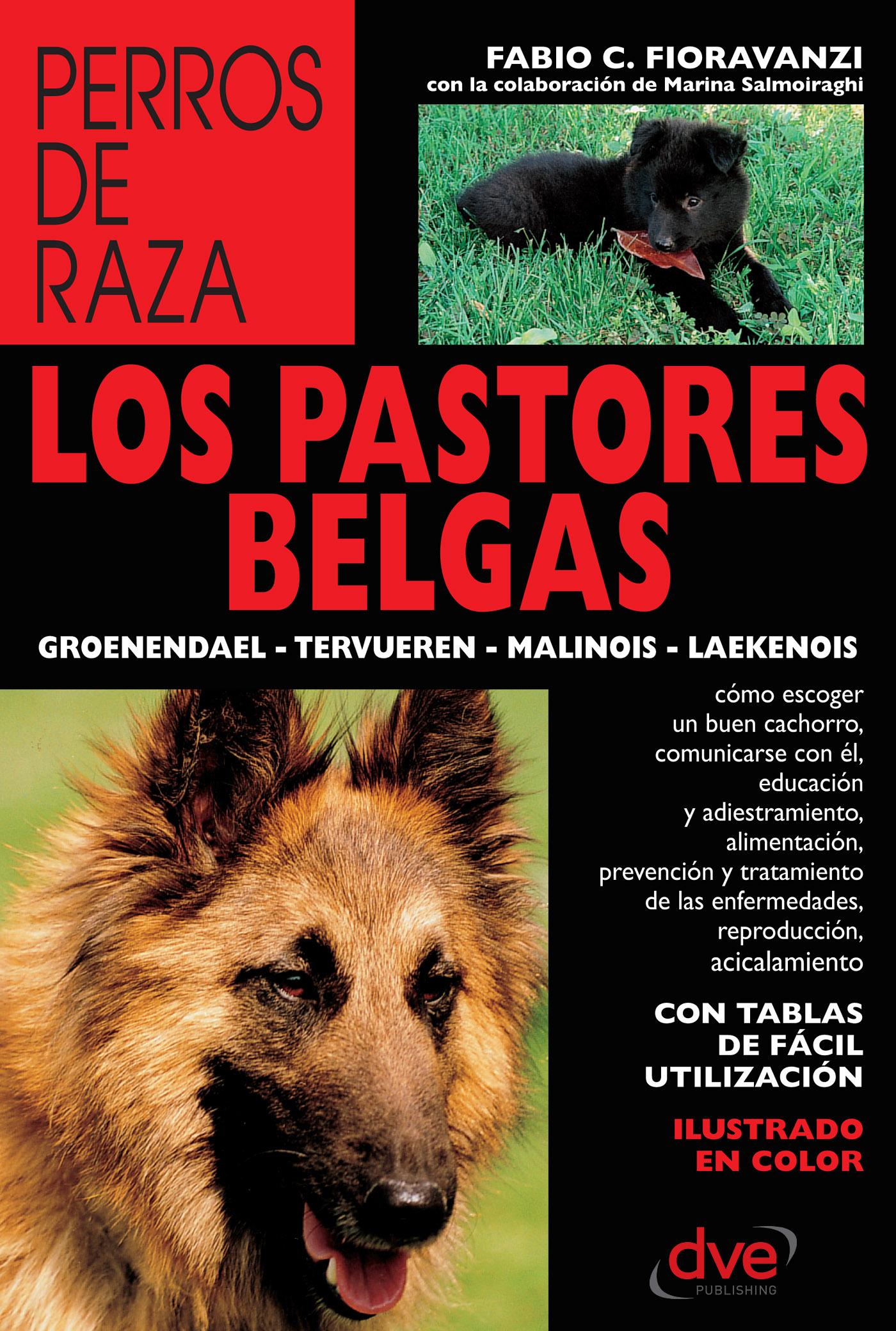LOS PASTORES BELGAS: GROENENDAEL - TERVUEREN - MALINOIS - LAEKENOIS