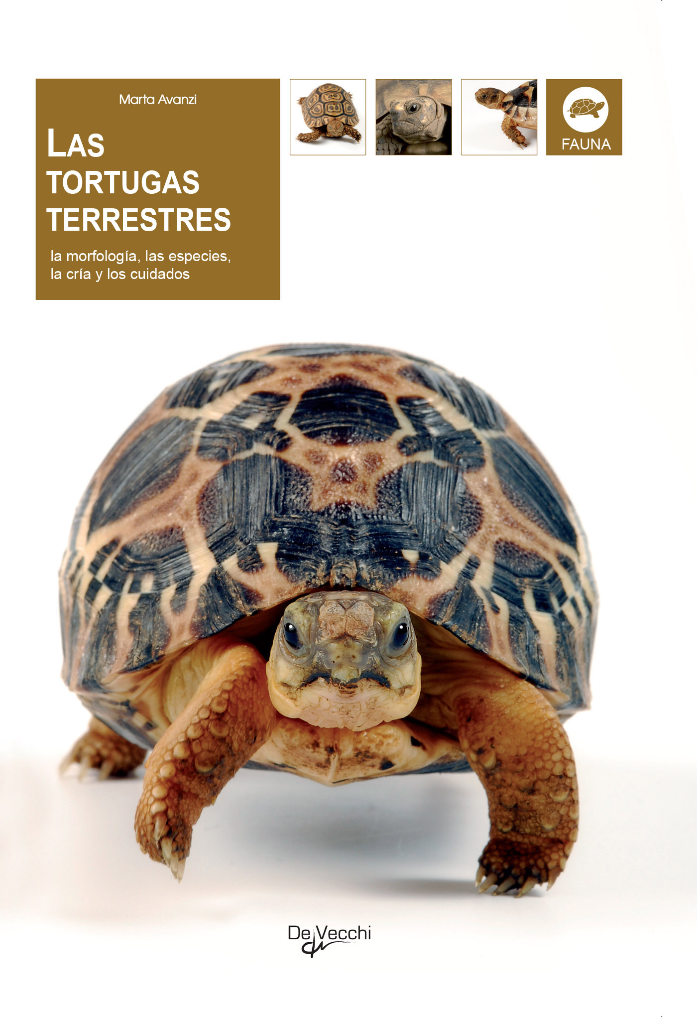 LAS TORTUGAS TERRESTRES