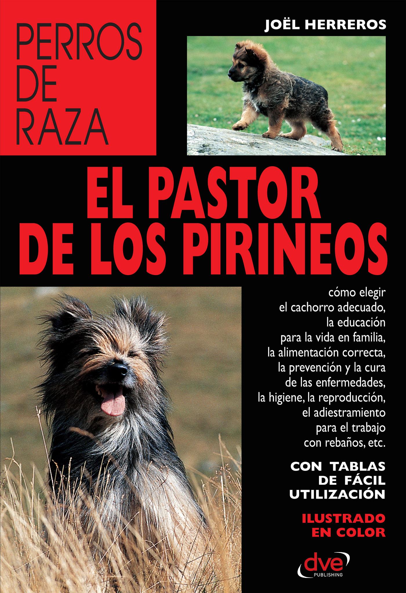 EL PASTOR DE LOS PIRINEOS