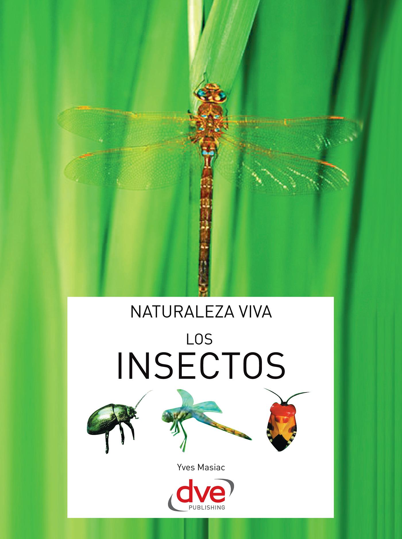 LOS INSECTOS