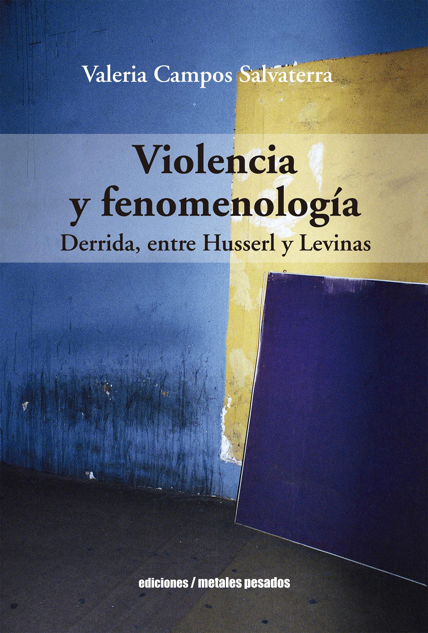 VIOLENCIA Y FENOMENOLOGÍA
