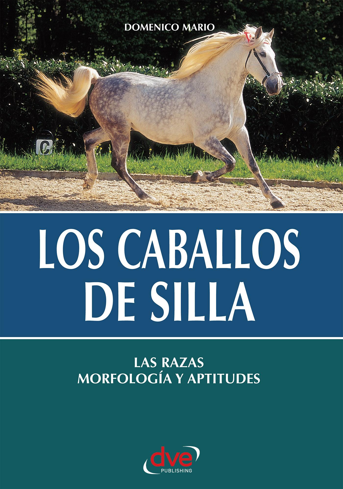 LOS CABALLOS DE SILLA. LAS RAZAS MORFOLOGÍA Y APTITUDES