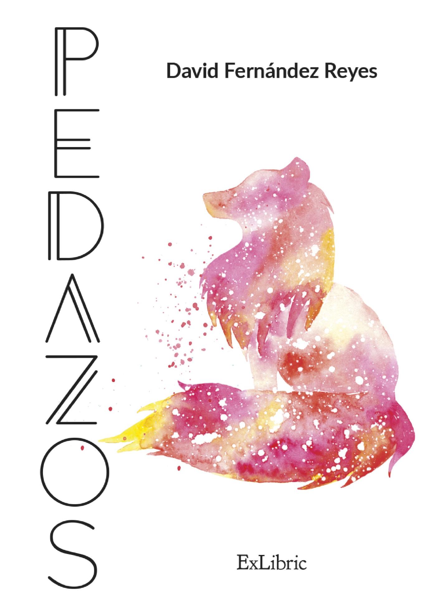 PEDAZOS
